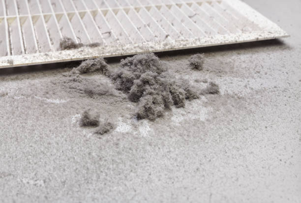 Best Ductwork Cleaning Services  in Brighton, IL