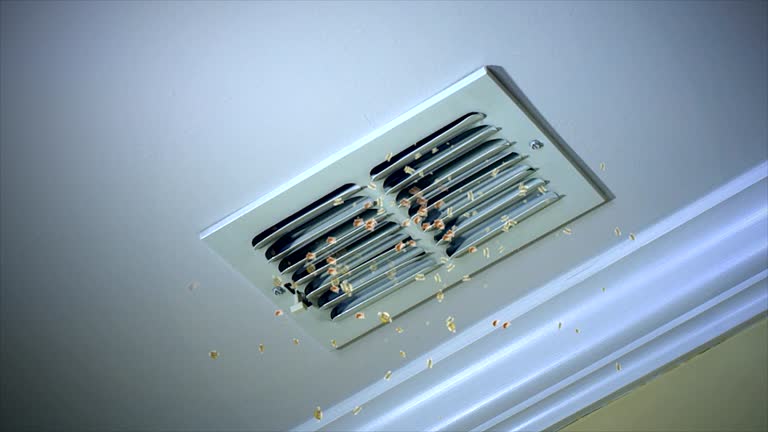 Best Local Air Duct Cleaning Services  in Brighton, IL