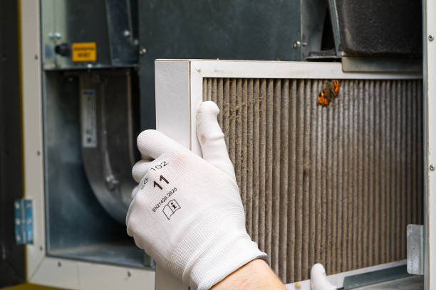 Best HVAC Duct Inspection Services  in Brighton, IL
