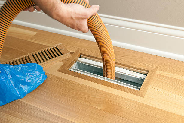 Best HVAC Duct Inspection Services  in Brighton, IL